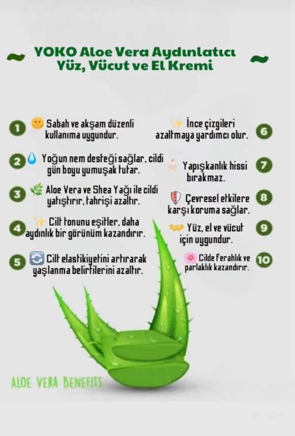 Text